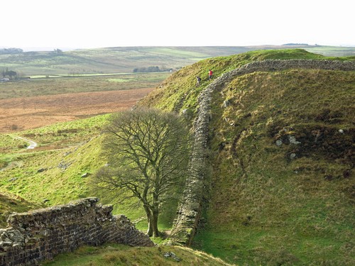 Photo 6x4 sycamore gap - gap, (3)
